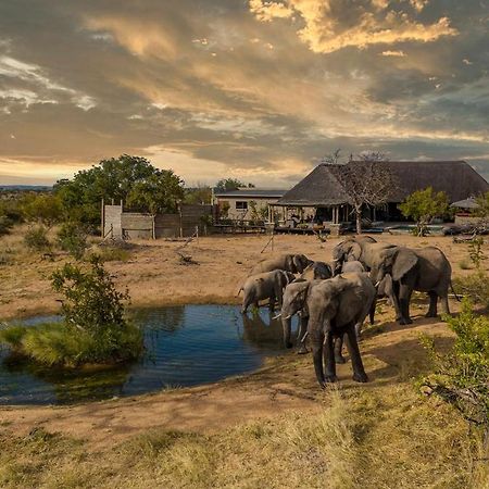 Imagine Africa Luxury Tented Camp Balule Wildreservaat Buitenkant foto