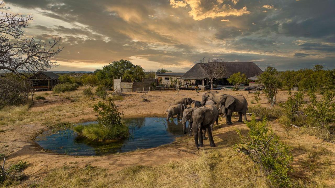 Imagine Africa Luxury Tented Camp Balule Wildreservaat Buitenkant foto